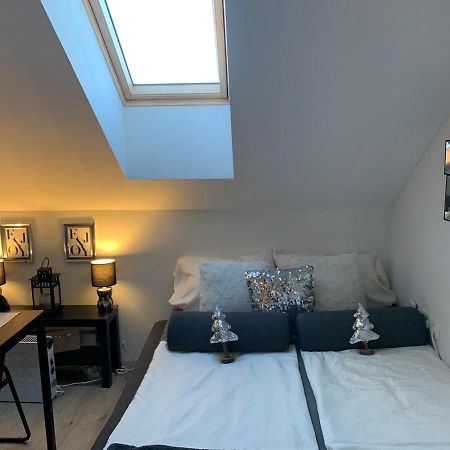 Apartment Mansarda Марибор Экстерьер фото