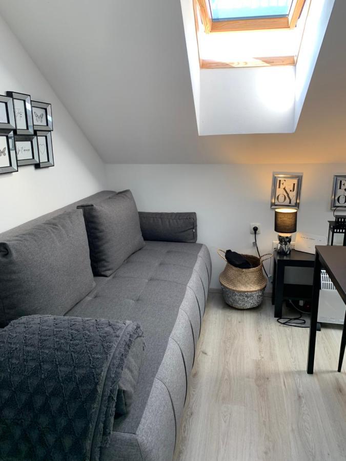 Apartment Mansarda Марибор Экстерьер фото