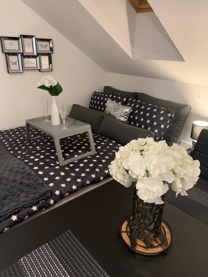 Apartment Mansarda Марибор Экстерьер фото