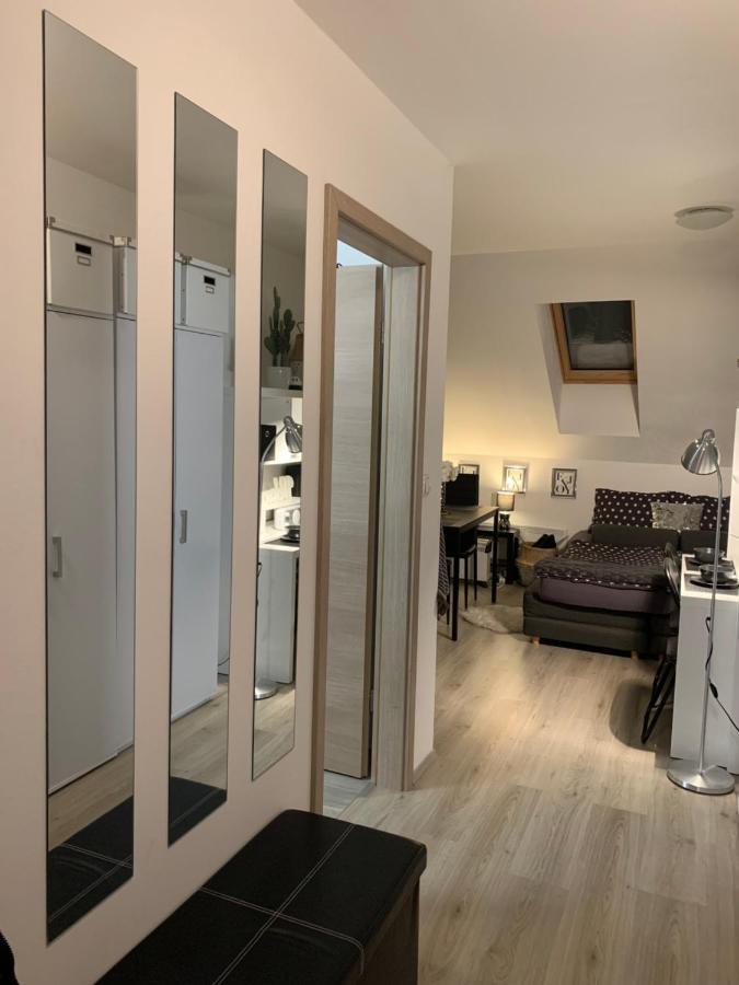 Apartment Mansarda Марибор Экстерьер фото