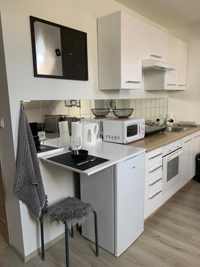 Apartment Mansarda Марибор Экстерьер фото