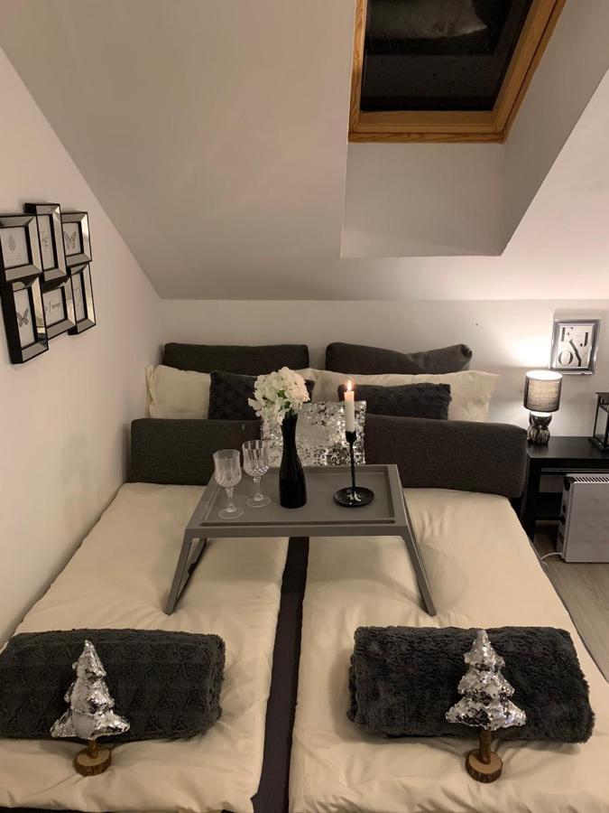 Apartment Mansarda Марибор Экстерьер фото