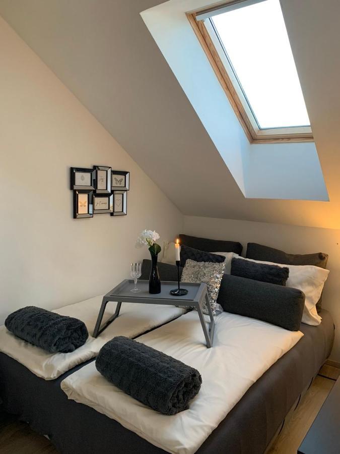 Apartment Mansarda Марибор Экстерьер фото