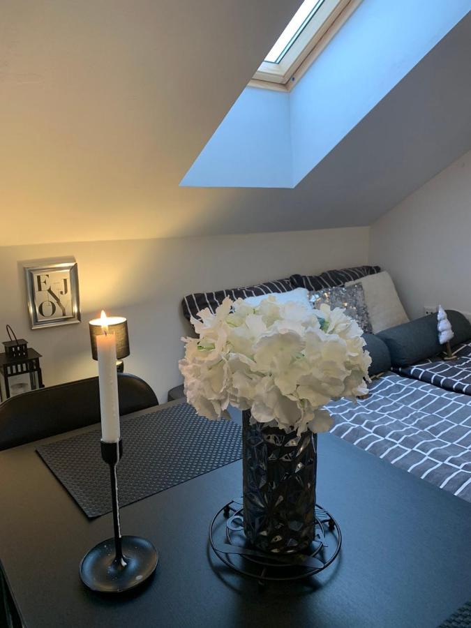Apartment Mansarda Марибор Экстерьер фото