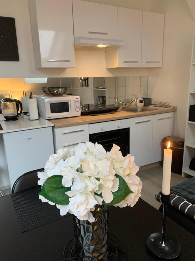Apartment Mansarda Марибор Экстерьер фото