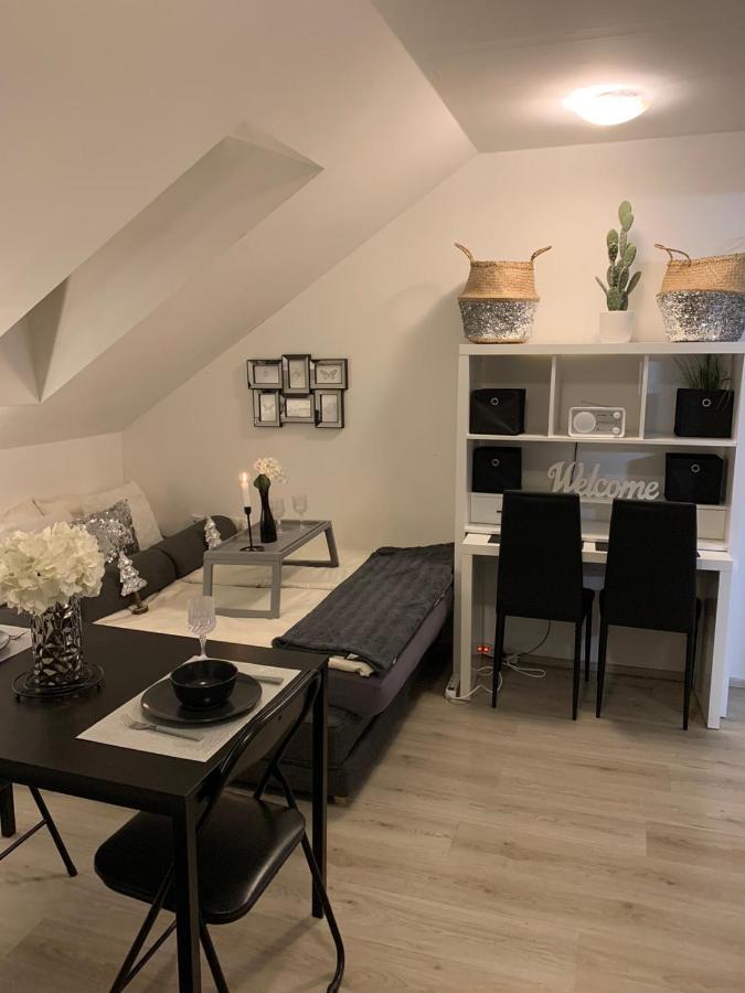 Apartment Mansarda Марибор Экстерьер фото