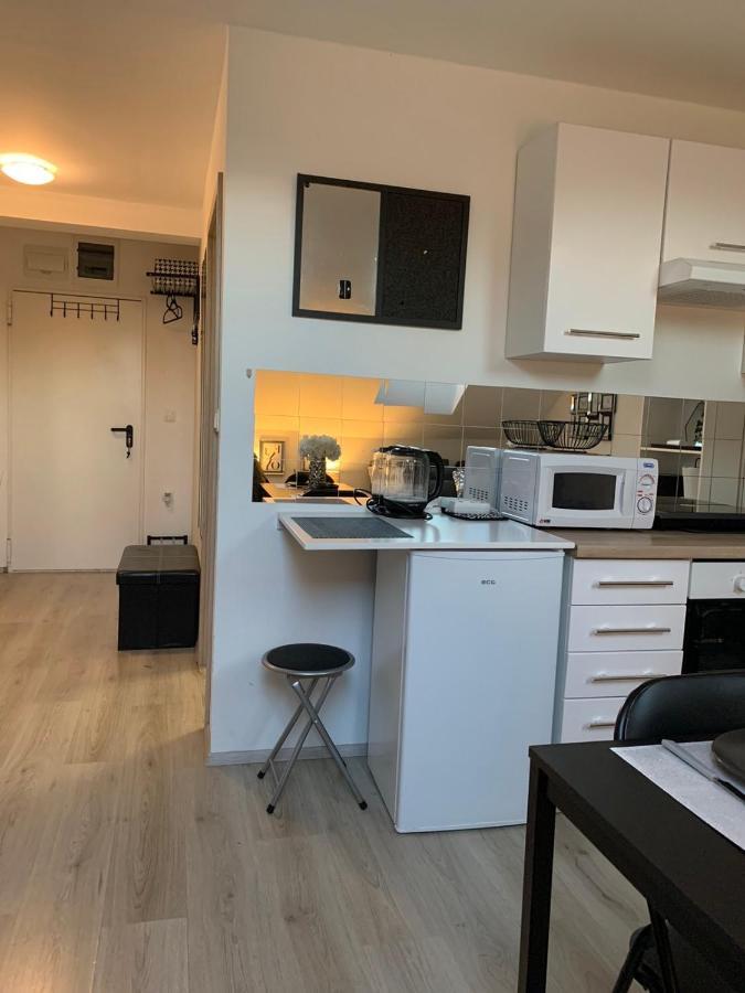 Apartment Mansarda Марибор Экстерьер фото