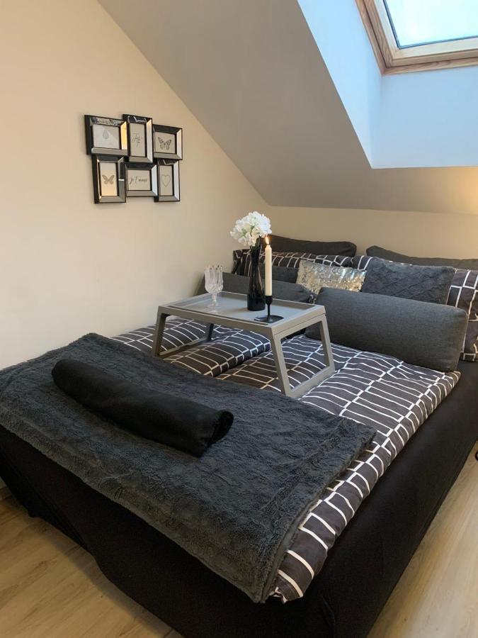 Apartment Mansarda Марибор Экстерьер фото